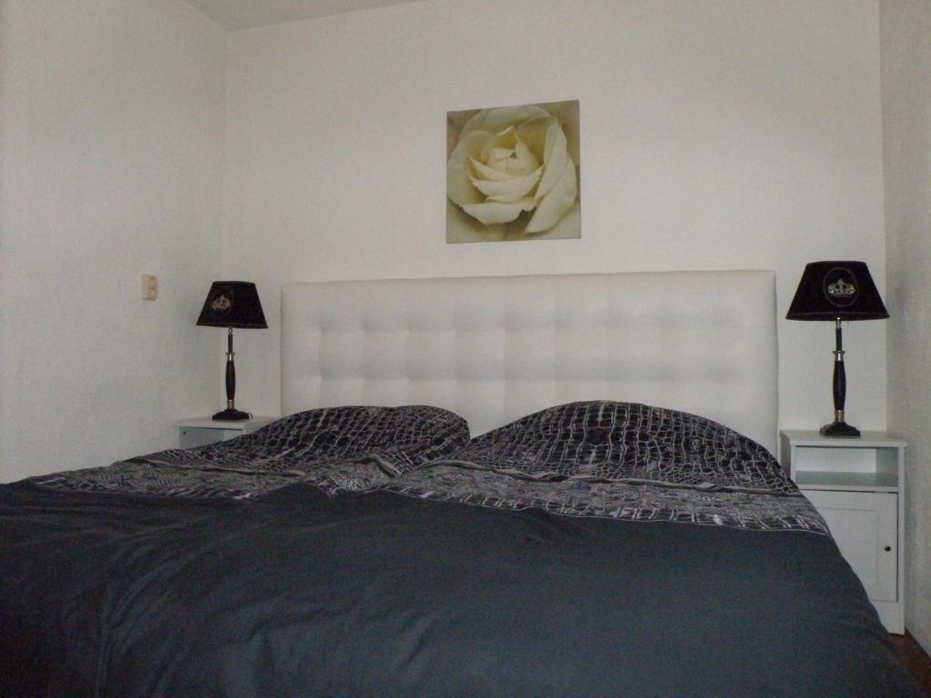 Apartment Seastar Zandvoort Room photo